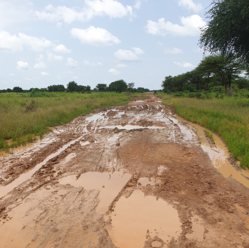 Tchad : une femme perd la vie dans un renversement de voiture près de Goz Beïda Tchad : une femme perd la vie dans un renversement de voiture près de Goz Beïda
