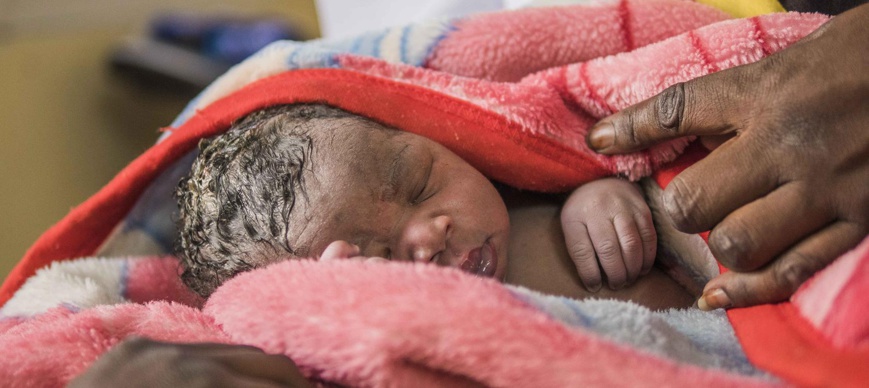 Illustration © Youness Med Dowgui / AFD Illustration © Youness Med Dowgui / AFD