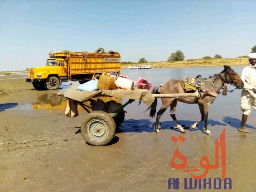 Tchad : au Sila, des habitants demandent des mesures urgentes contre les taxes douanières excessives Tchad : au Sila, des habitants demandent des mesures urgentes contre les taxes douanières excessives