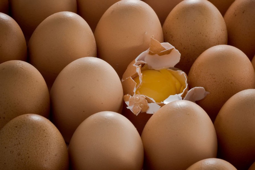 Tchad : pénurie d’œufs à N’Djamena Tchad : pénurie d’œufs à N’Djamena