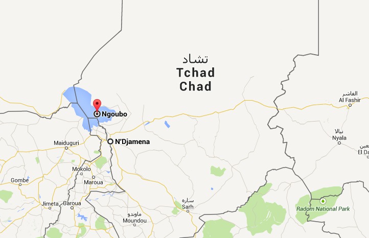 Tchad : Boko Haram attaque une localité, 10 morts dont le chef du village Tchad : Boko Haram attaque une localité, 10 morts dont le chef du village