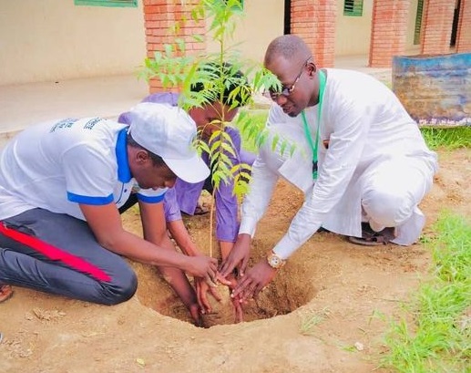 Tchad : l'Association la propriété urbaine a mis en terre des plants au lycée franco-arabe d'Abéché