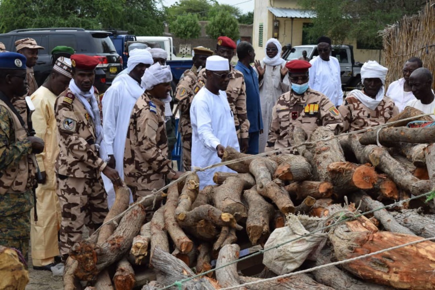 Tchad : Des individus interpellés pour destruction de l’environnement à Massakory