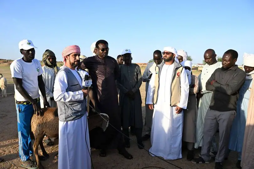 Tchad : les Émirats arabes unis livrent 200 têtes de bétail à Amdjarass