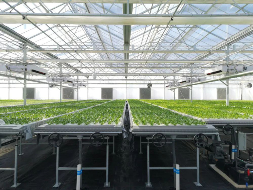 Photo shows the "plant factory" of Shenyang Qiushi Agricultural Sci-Tech Development Co., Ltd. in Xinmin, Liaoning province. (Photo provided by Shenyang Qiushi Agricultural Sci-Tech Development Co., Ltd.) Photo shows the "plant factory" of Shenyang Qiushi Agricultural Sci-Tech Development Co., Ltd. in Xinmin, Liaoning province. (Photo provided by Shenyang Qiushi Agricultural Sci-Tech Development Co., Ltd.)