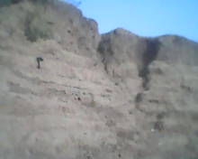 Tchad : La dégradation de la berge du Barh Azoum Tchad : La dégradation de la berge du Barh Azoum