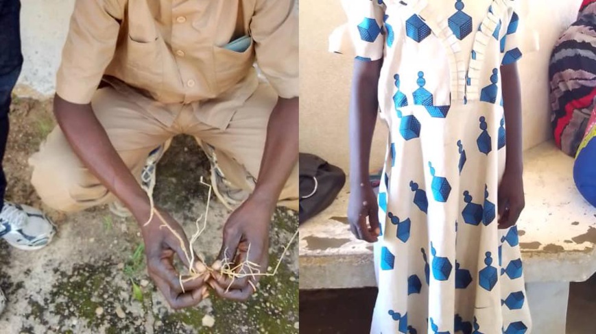 Tchad : il viole une fillette de 12 ans à Mbikou et affirme avoir été ensorcelé Tchad : il viole une fillette de 12 ans à Mbikou et affirme avoir été ensorcelé