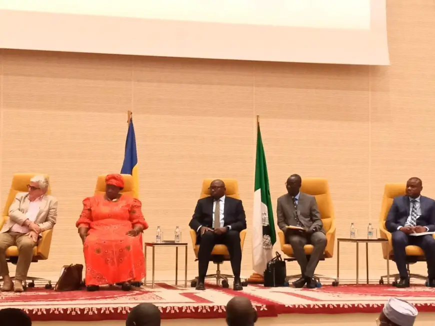 Le Tchad et la BAD main dans la main pour favoriser l'inclusion Financière et l'entrepreneuriat