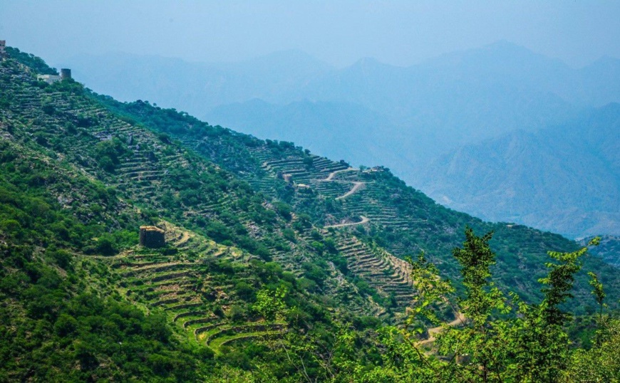 L'Arabie saoudite accueillera la Journée Mondiale de l'Environnement 2024 L'Arabie saoudite accueillera la Journée Mondiale de l'Environnement 2024