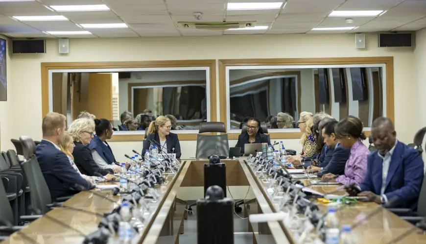 Afrique : Une délégation de Swedfund à la BAD pour un partenariat plus étroit