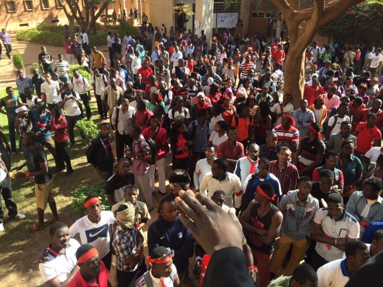 Crédit photos : Assad Mht Issa Crédit photos : Assad Mht Issa