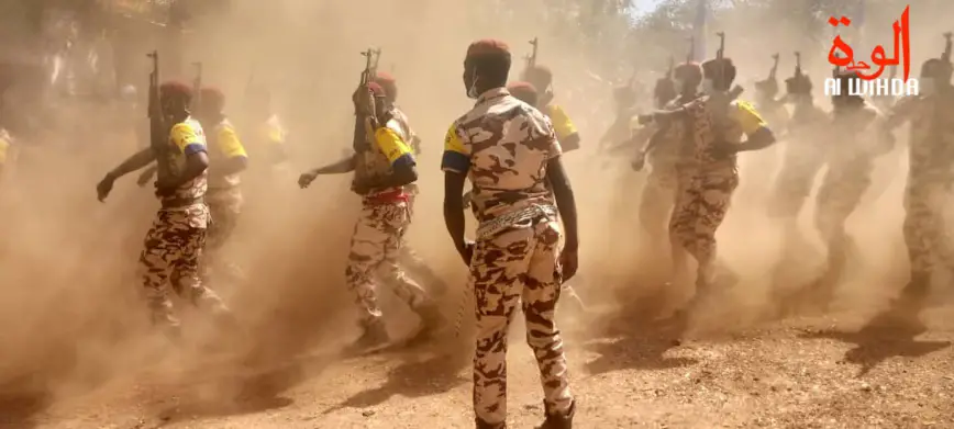 Tchad : 15 officiers promus au grade de général de division