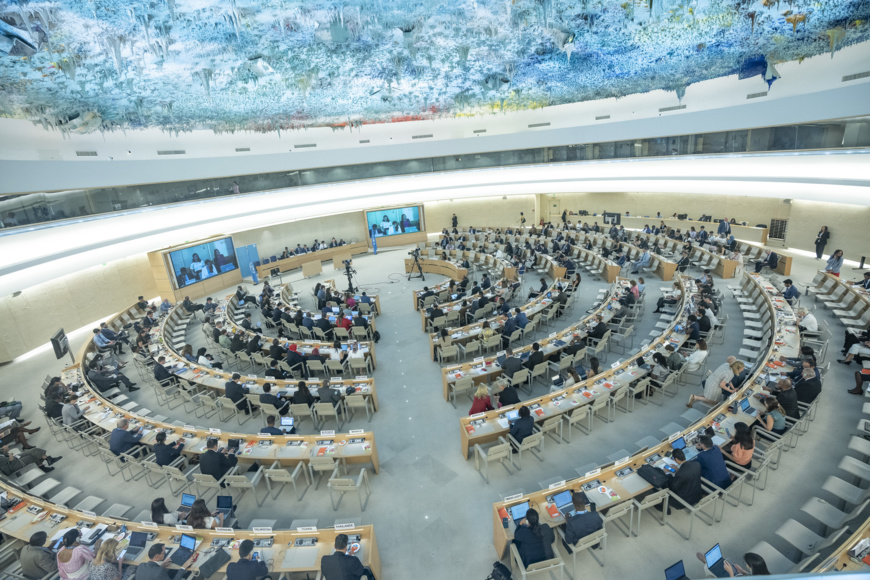 Le Tchad présente son rapport sur les droits économiques, sociaux et culturels aux Nations Unies Le Tchad présente son rapport sur les droits économiques, sociaux et culturels aux Nations Unies