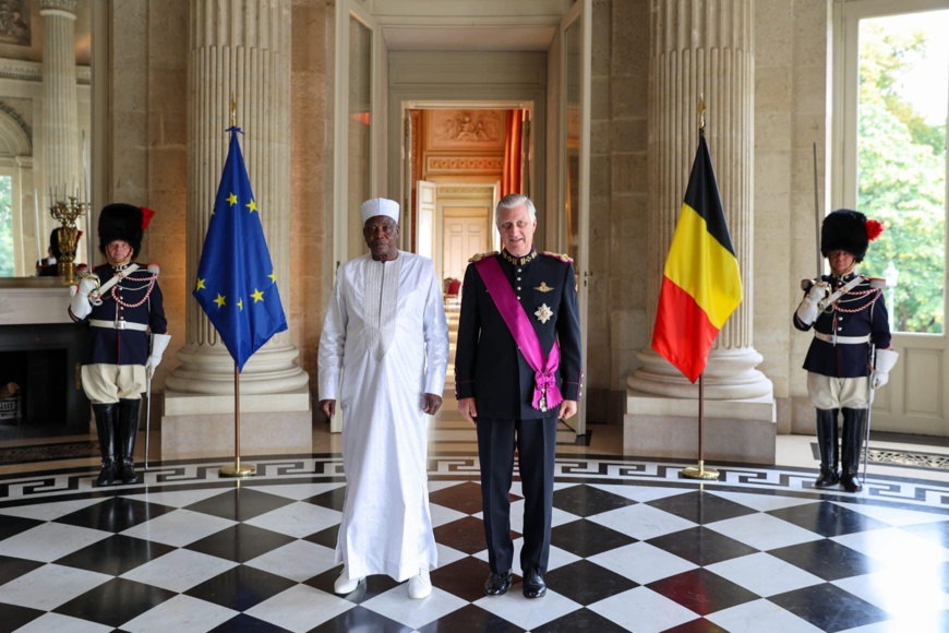 Belgique : l'ambassadeur tchadien Dr. Bachar Brahim Adoum remet ses lettres de créance