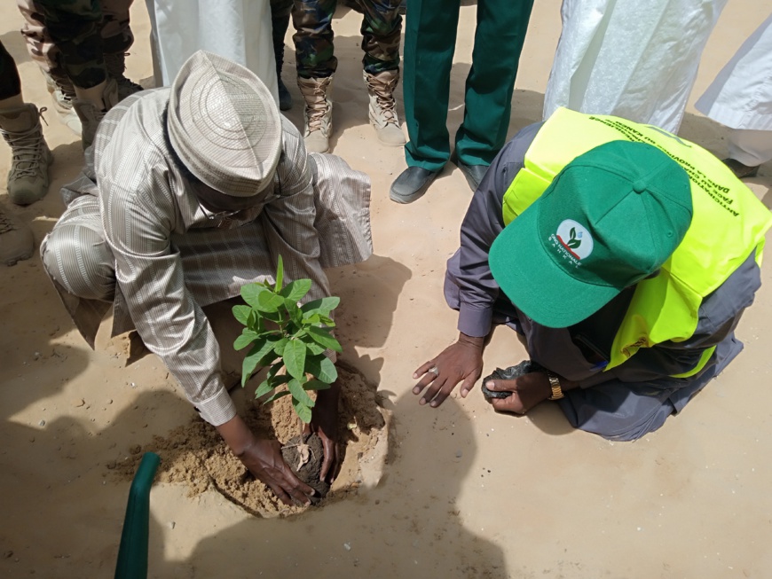 Tchad : 3000 pépinières offertes aux associations pour la lutte contre le désert à Mao Tchad : 3000 pépinières offertes aux associations pour la lutte contre le désert à Mao