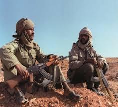 L'Algérie inonde la France de terro- polisariens L'Algérie inonde la France de terro- polisariens