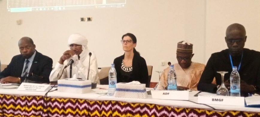 Bassin du Lac Tchad : le programme de vaccination de routine au centre d’une réunion de suivi Bassin du Lac Tchad : le programme de vaccination de routine au centre d’une réunion de suivi