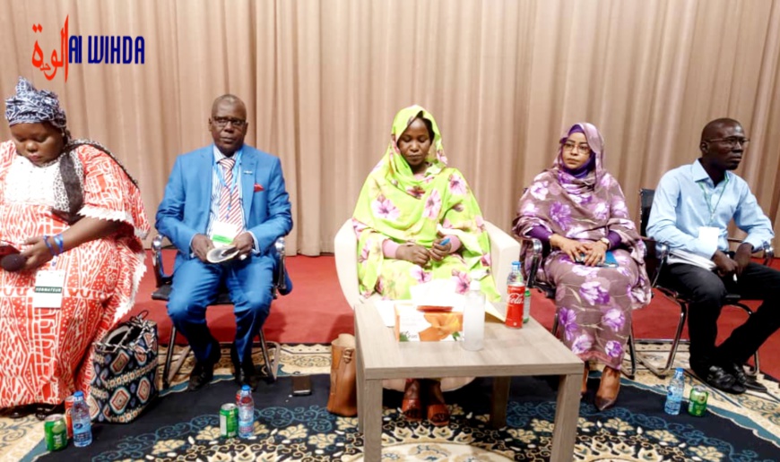 Tchad : les journalistes culturels en formation sur l'ère du numérique Tchad : les journalistes culturels en formation sur l'ère du numérique