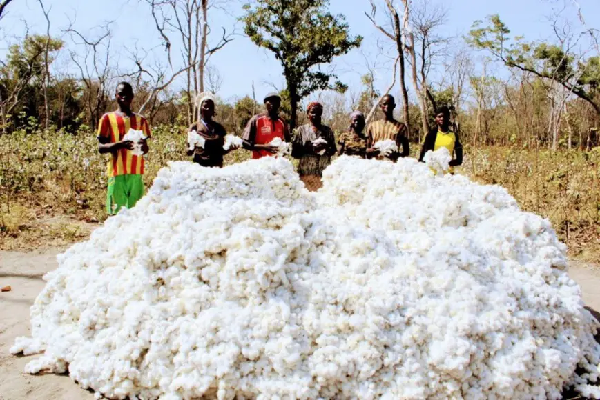 Le Tchad plaide pour une solution consensuelle des subventions à l'exportation du Coton