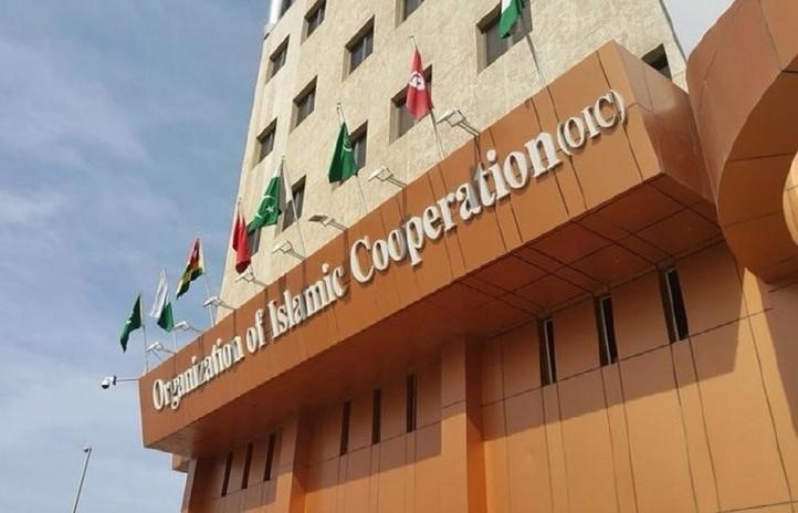 L’OCI appelle à accélérer l’acheminement d’aide humanitaire à Gaza L’OCI appelle à accélérer l’acheminement d’aide humanitaire à Gaza