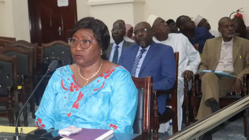 Tchad : les conseillers nationaux approuvent à la majorité la dissolution de l'abattoir frigorifique de Farcha