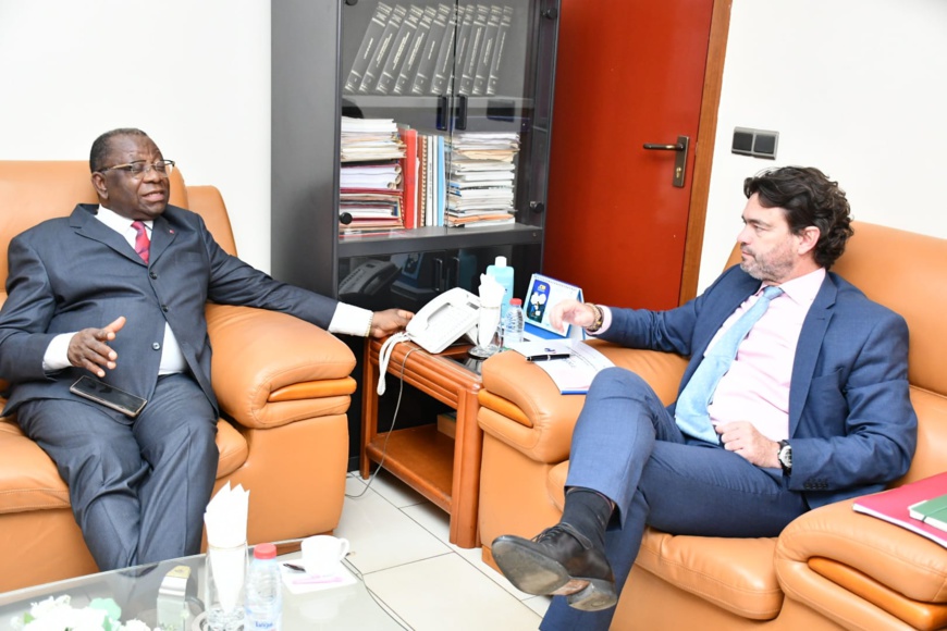 Cameroun : le DG de CFAO Retail Cameroun reçu par le ministre du Commerce Cameroun : le DG de CFAO Retail Cameroun reçu par le ministre du Commerce