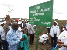 Economie verte : la campagne de planting de 1 million d'hectares fait du chemin au  Congo