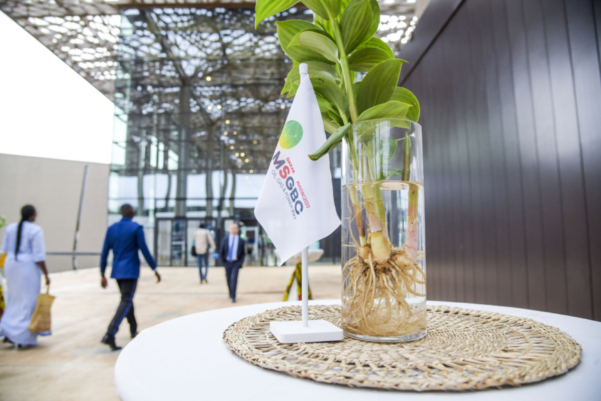 Afrique : Le panel sur les finances et le gouvernement révélera des informations clés lors du MSGBC Oil, Gas & Power 2023 Afrique : Le panel sur les finances et le gouvernement révélera des informations clés lors du MSGBC Oil, Gas & Power 2023