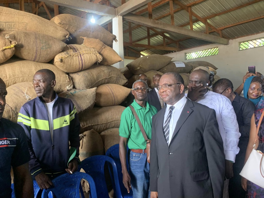 Cameroun : le pays atteint un nouveau prix record de 2015 FCFA le kilogramme de cacao