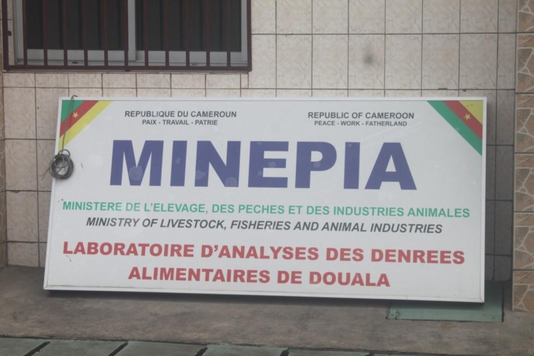 Cameroun : Alerte rouge sur les denrées alimentaires importées ! Cameroun : Alerte rouge sur les denrées alimentaires importées !