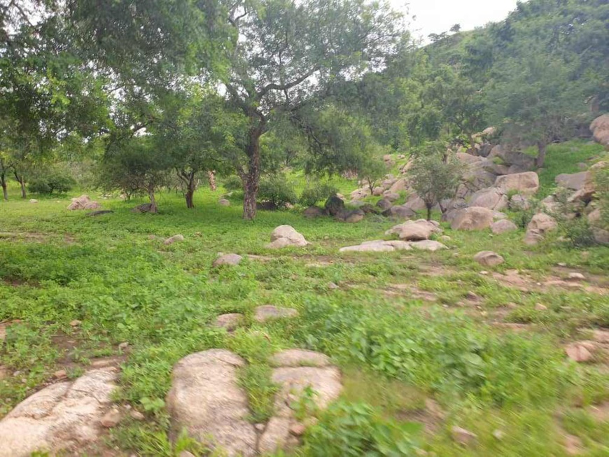 Tchad : un éleveur tué en protégeant son bétail au Sila Tchad : un éleveur tué en protégeant son bétail au Sila