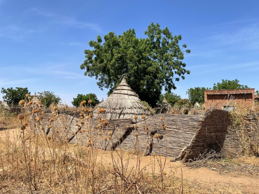 Tchad : la BAD accorde un don de plus de 34 millions d’euros pour améliorer les conditions de vie des populations