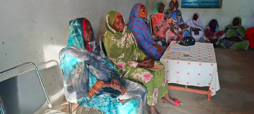 Tchad : les femmes de Guéra unies pour l'action locale et le développement
