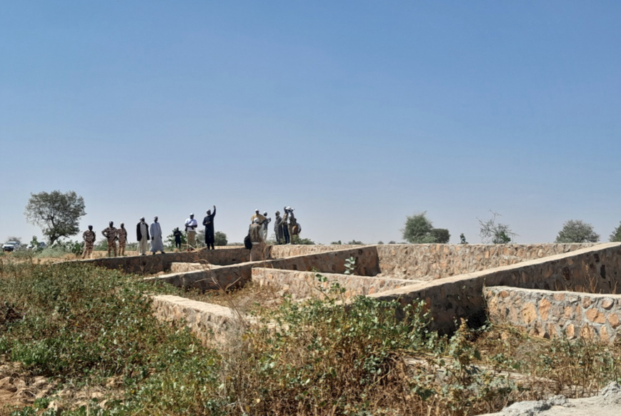 Tchad : des solutions innovantes pour l'insécurité alimentaire dans l'Est grâce au PARIIS-TD Tchad : des solutions innovantes pour l'insécurité alimentaire dans l'Est grâce au PARIIS-TD