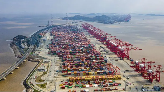 Photo shows an automated terminal of Phase IV of Shanghai Yangshan Deep Water Port in Shanghai. (Photo by Wang Chu/People's Daily Online)