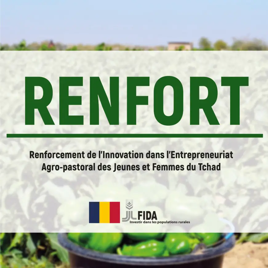 Logo du Projet RENFORT (Financé par le FIDA)