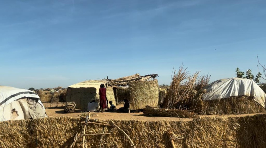 دعوة المؤسسات في البلدان العربية والإسلامية إلى التدخل الإنساني العاجل للاجئين السودانيين في أدري شرق تشاد دعوة المؤسسات في البلدان العربية والإسلامية إلى التدخل الإنساني العاجل للاجئين السودانيين في أدري شرق تشاد