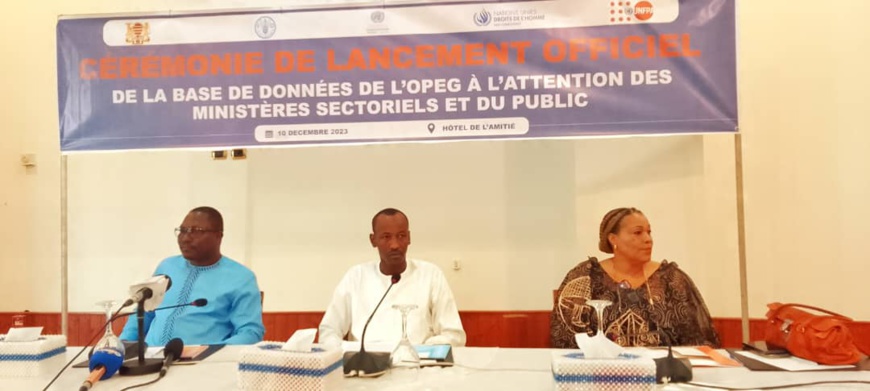 Tchad : la base de données de l'OPEG lancée pour documenter les violences basées sur le genre Tchad : la base de données de l'OPEG lancée pour documenter les violences basées sur le genre