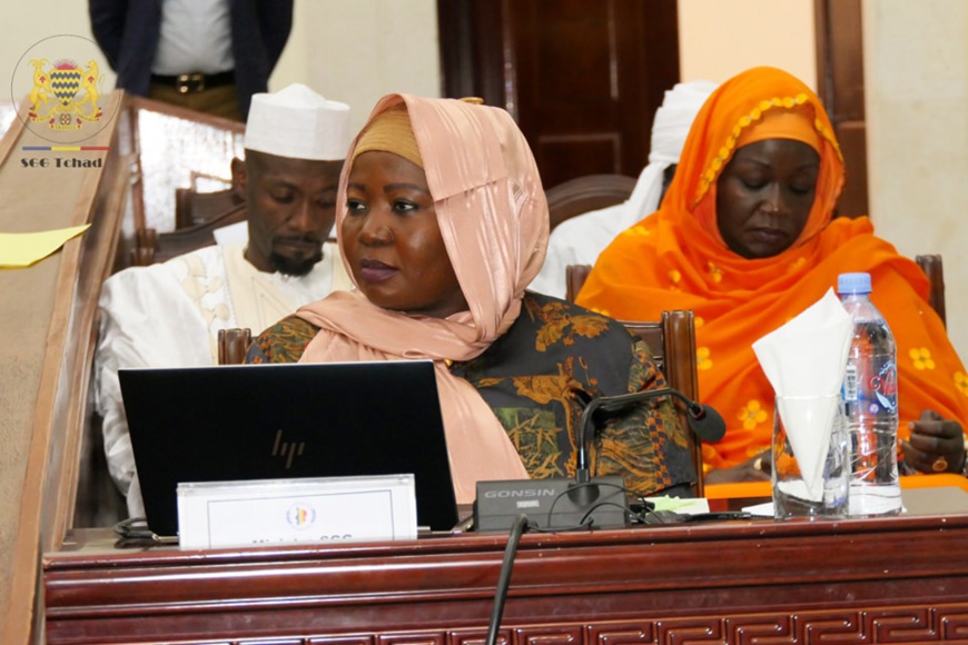 Crise du carburant au Tchad : "nous aimons nos concitoyens...Accordez-nous le bénéfice du doute" (ministre SGG) Crise du carburant au Tchad : "nous aimons nos concitoyens...Accordez-nous le bénéfice du doute" (ministre SGG)