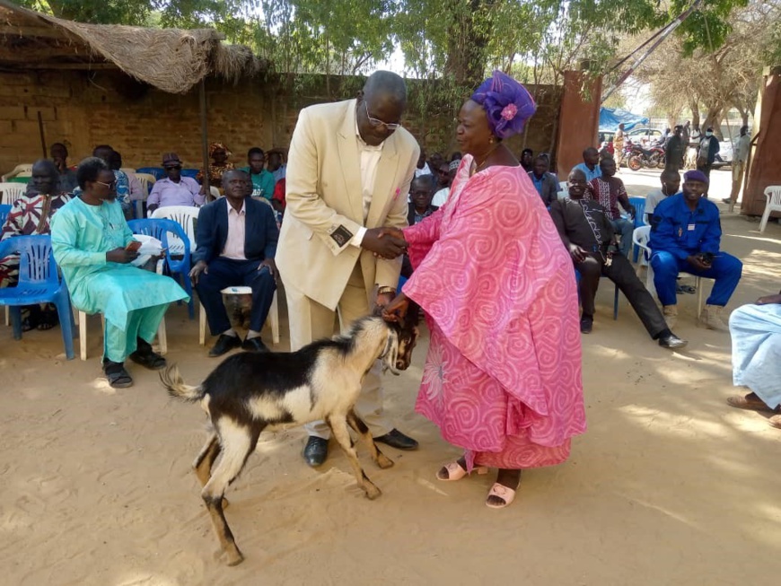 Tchad :  La Mairie du 9e arrondissement de N’Djamena remet des moutons aux pasteurs