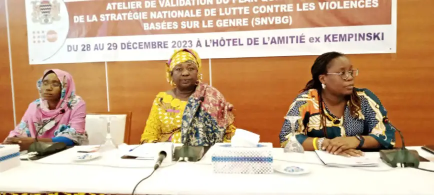 Tchad : atelier de validation du plan de lutte contre les violences basées sur le genre