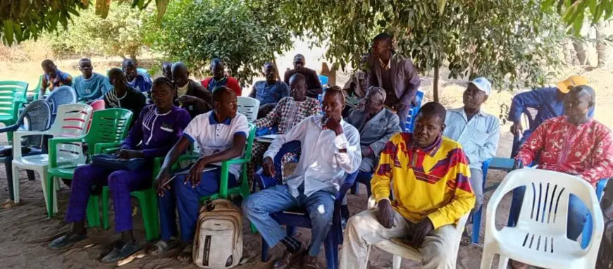Tchad : les auxiliaires vétérinaires de la Tandjile-Ouest formés en prescription médicale