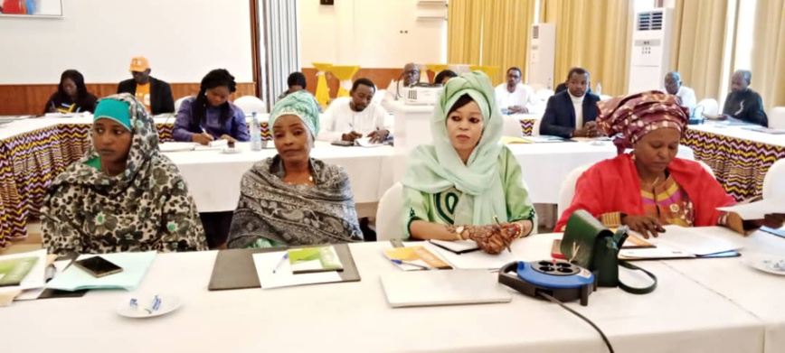 Tchad : vers un plan quinquennal de lutte contre les violences basées sur le genre Tchad : vers un plan quinquennal de lutte contre les violences basées sur le genre