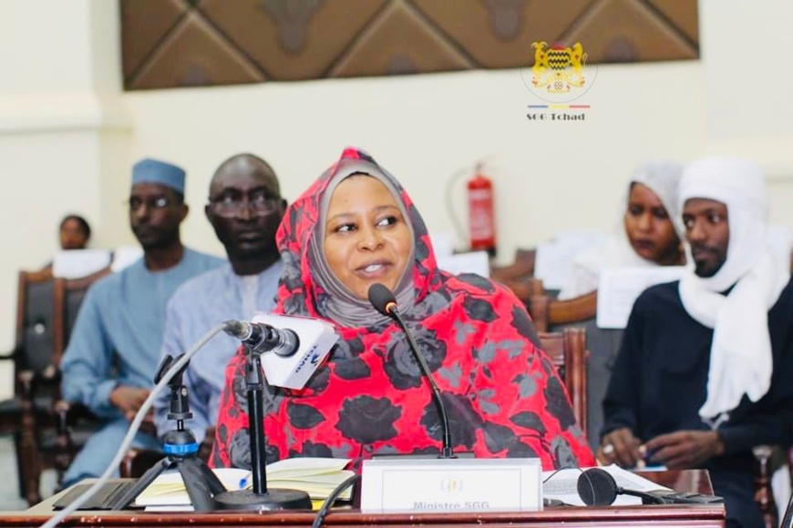 Tchad : le gouvernement habilité à légiférer par ordonnance pendant un mois Tchad : le gouvernement habilité à légiférer par ordonnance pendant un mois