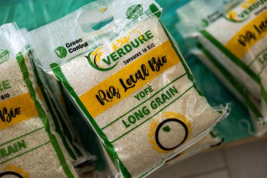 Afrique : la BAD va investir 10,5 millions $ pour investir dans des entreprises innovantes Afrique : la BAD va investir 10,5 millions $ pour investir dans des entreprises innovantes