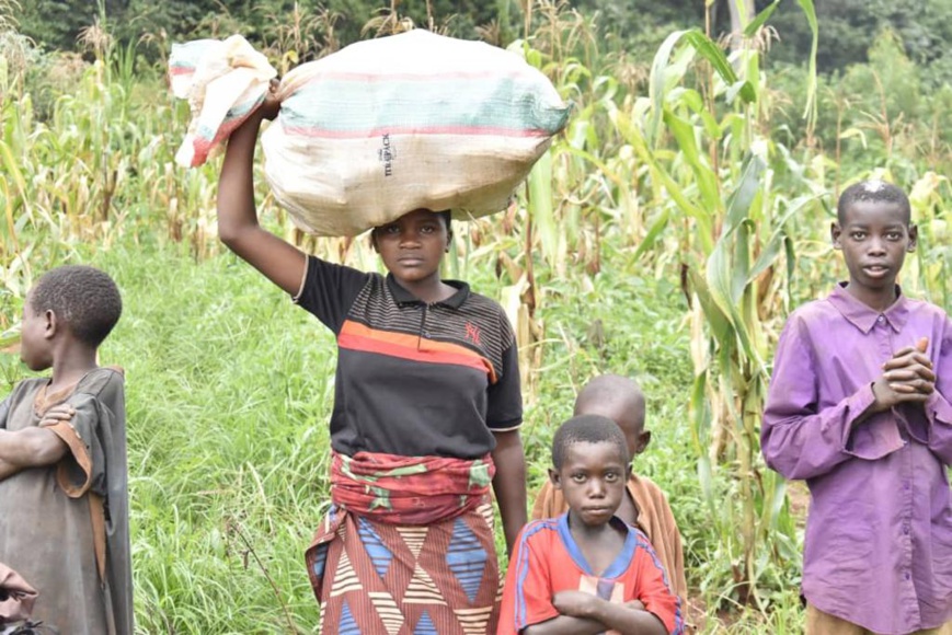 Burundi : des producteurs se félicitent des bons rendements agricoles obtenus cette année