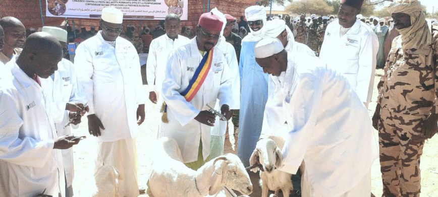 Tchad : une campagne de vaccination du bétail lancée au Batha