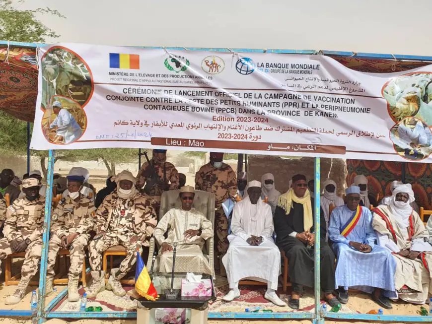 Tchad : dans le Kamen, le gouverneur lance la campagne de vaccination contre la peste bovine
