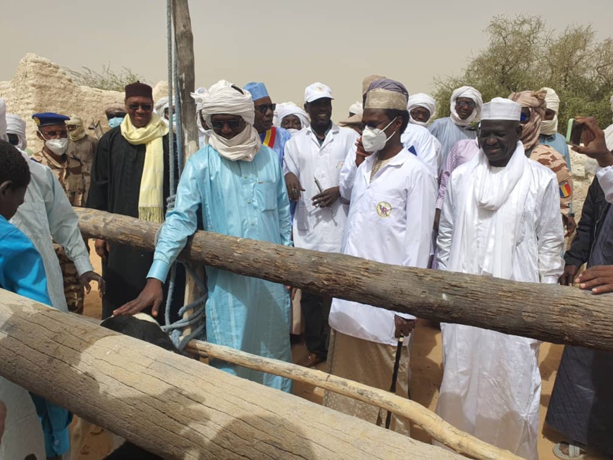 Tchad : dans le Kamen, le gouverneur lance la campagne de vaccination contre la peste bovine