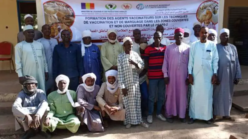 Tchad : des agents vaccinateurs formés à Am-Timan sur la vaccination et de marquage des animaux